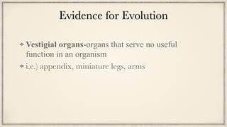 Evidence for Evolution
Vestigial organs-organs that serve no useful
function in an organism


i.e.) appendix, miniature legs, arms
 