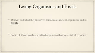 Living Organisms and Fossils
Darwin collected the preserved remains of ancient organisms, called
fossils.


Some of those fossils resembled organisms that were still alive today.
 