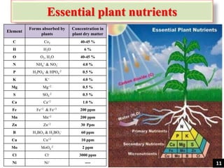 Essential plant nutrients
Element
Forms absorbed by
plants
Concentration in
plant dry matter
C Co2 40-45 %
H H2O 6 %
O O2, H2O 40-45 %
N NH4
+ & NO3
- 4.0 %
P H2PO4
- & HPO4
-2 0.5 %
K K+ 4.0 %
Mg Mg+2 0.5 %
S SO4
-2 0.5 %
Ca Ca+2 1.0 %
Fe Fe+2 & Fe+3 200 ppm
Mn Mn+2 200 ppm
Zn Zn+2 30 Ppm
B H3BO3 & H2BO3
- 60 ppm
Cu Cu+2 10 ppm
Mo MoO4
-2 2 ppm
Cl Cl- 3000 ppm
Ni Ni+ ---- 11
 