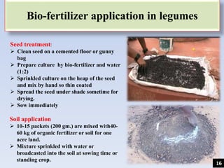 Bio-fertilizer application in legumes
Seed treatment:
 Clean seed on a cemented floor or gunny
bag
 Prepare culture by bio-fertilizer and water
(1:2)
 Sprinkled culture on the heap of the seed
and mix by hand so thin coated
 Spread the seed under shade sometime for
drying.
 Sow immediately
Soil application
 10-15 packets (200 gm.) are mixed with40-
60 kg of organic fertilizer or soil for one
acre land.
 Mixture sprinkled with water or
broadcasted into the soil at sowing time or
standing crop.
16
 