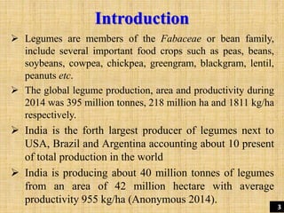 Introduction
 Legumes are members of the Fabaceae or bean family,
include several important food crops such as peas, beans,
soybeans, cowpea, chickpea, greengram, blackgram, lentil,
peanuts etc.
 The global legume production, area and productivity during
2014 was 395 million tonnes, 218 million ha and 1811 kg/ha
respectively.
 India is the forth largest producer of legumes next to
USA, Brazil and Argentina accounting about 10 present
of total production in the world
 India is producing about 40 million tonnes of legumes
from an area of 42 million hectare with average
productivity 955 kg/ha (Anonymous 2014).
3
 