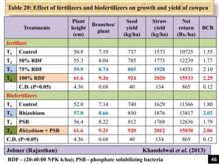 Table 20: Effect of fertilizers and biofertilizers on growth and yield of cowpea
Treatments
Plant
height
(cm)
Branches/
plant
Seed
yield
(kg/ha)
Straw
yield
(kg/ha)
Net
return
(Rs./ha)
BCR
fertilizer
T1 Control 50.8 7.19 737 1573 10725 1.55
T2 50% RDF 55.3 8.04 785 1773 12239 1.77
T3 75% RDF 59.9 8.74 885 1920 14551 2.10
T4 100% RDF 61.6 9.26 924 2020 15533 2.25
C.D. (P=0.05) 4.36 0.68 40 134 865 0.12
Biofertilizers
T1 Control 52.0 7.14 740 1629 11566 1.80
T2 Rhizobium 57.8 8.66 850 1876 13817 2.02
T3 PSB 56.4 8.22 812 1768 12636 1.79
T4 Rhizobium + PSB 61.6 9.21 920 2012 15030 2.06
C.D. (P=0.05) 4.36 0.68 40 134 865 0.12
RDF – (20:40:00 NPK k/ha); PSB - phosphate solubilizing bacteria
Jobner (Rajasthan) Khandelwal et al. (2013)
46
 