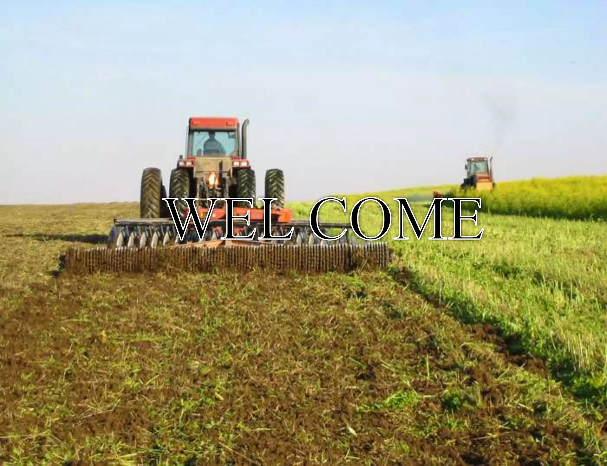 Important of green manuring and their effect on soil fertility | PPTX