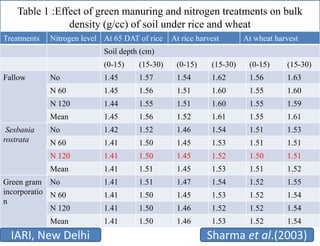 Important of green manuring and their effect on soil fertility | PPTX