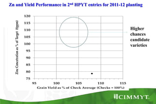 Zn and Yield Performance in 2nd HPYT entries for 2011-12 planting
75
80
85
90
95
100
105
110
115
120
95 100 105 110 115
ZincConcetrationas%ofTarget(8ppm)
Grain Yield as % of Check Average (Checks = 100%)
Higher
chances
candidate
varieties
 