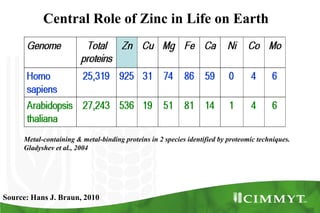 Metal-containing & metal-binding proteins in 2 species identified by proteomic techniques.
Gladyshev et al., 2004
Central Role of Zinc in Life on Earth
Source: Hans J. Braun, 2010
 