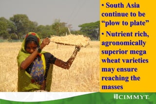 • South Asia
continue to be
“plow to plate”
• Nutrient rich,
agronomically
superior mega
wheat varieties
may ensure
reaching the
masses
 