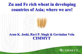 Arun K. Joshi, Ravi P. Singh & Govindan Velu
CIMMYT
Zn and Fe rich wheat in developing
countries of Asia; where we are!
 
