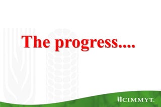 Bio-fortification options/success story - wheat