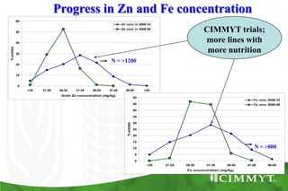 Bio-fortification options/success story - wheat