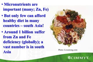 Bio-fortification options/success story - wheat