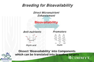 Bio-fortification options/success story - wheat