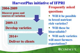 Bio-fortification options/success story - wheat