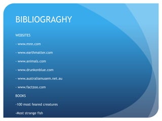 BIBLIOGRAGHY
WEBSITES
- www.mnn.com
- www.earthmatter.com
- www.animals.com
- www.drunkonblue.com
- www.australiamusem.net.au
- www.factzoo.com
BOOKS
-100 most feared creatures
-Most strange fish
 