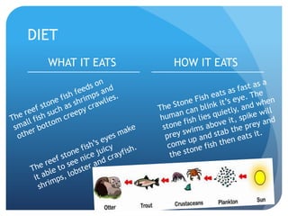 DIET
WHAT IT EATS HOW IT EATS
 