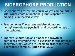 PGPR and its role in crop plants | PPTX