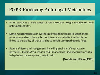 PGPR and its role in crop plants | PPTX