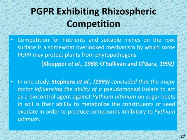 PGPR and its role in crop plants | PPTX | Agriculture | Industries