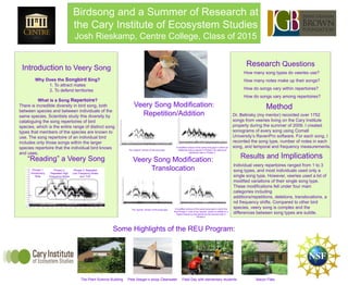 Birdsong and a Summer of Research at
the Cary Institute of Ecosystem Studies
Josh Rieskamp, Centre College, Class of 2015
Research Questions

Introduction to Veery Song

How many song types do veeries use?

Why Does the Songbird Sing?
1. To attract mates
2. To defend territories

How many notes make up their songs?
How do songs vary within repertoires?

What is a Song Repertoire?
There is incredible diversity in bird song, both
between species and between individuals of the
same species. Scientists study this diversity by
cataloguing the song repertoires of bird
species, which is the entire range of distinct song
types that members of the species are known to
use. The song repertoire of an individual bird
includes only those songs within the larger
species repertoire that the individual bird knows
and uses.

“Reading” a Veery Song
Phrase 1:
Introductory
Note

Phrase 2:
Repeated High
Frequency Notes

How do songs vary among repertoires?

Veery Song Modification:
Repetition/Addition

The “typical” version of the song type

A modified version of the same song type in which an
additional note is placed in Phrase 2 as well as an
additional note in Phrase 3.

Veery Song Modification:
Translocation

Phrase 3: Repeated
Low Frequency Notes
and “Trill”

The “typical” version of the song type

A modified version of the same song type in which the
final Phrase 3 note of the “typical” version is shifted to a
higher frequency and placed as the second note in
Phrase 2.

Method
Dr. Belinsky (my mentor) recorded over 1752
songs from veeries living on the Cary Institute
property during the summer of 2009. I created
sonograms of every song using Cornell
University’s RavenPro software. For each song, I
recorded the song type, number of notes in each
song, and temporal and frequency measurements.

Results and Implications
Individual veery repertoires ranged from 1 to 3
song types, and most individuals used only a
single song type. However, veeries used a lot of
modified variations of their single song type.
These modifications fell under four main
categories including
additions/repetitions, deletions, translocations, a
nd frequency shifts. Compared to other bird
species, veery song is complex and the
differences between song types are subtle.

Some Highlights of the REU Program:

The Plant Science Building

Pete Seeger’s sloop Clearwater

Field Day with elementary students

Bacon Flats

 