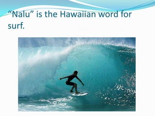 “Nalu” is the Hawaiian word for surf. 