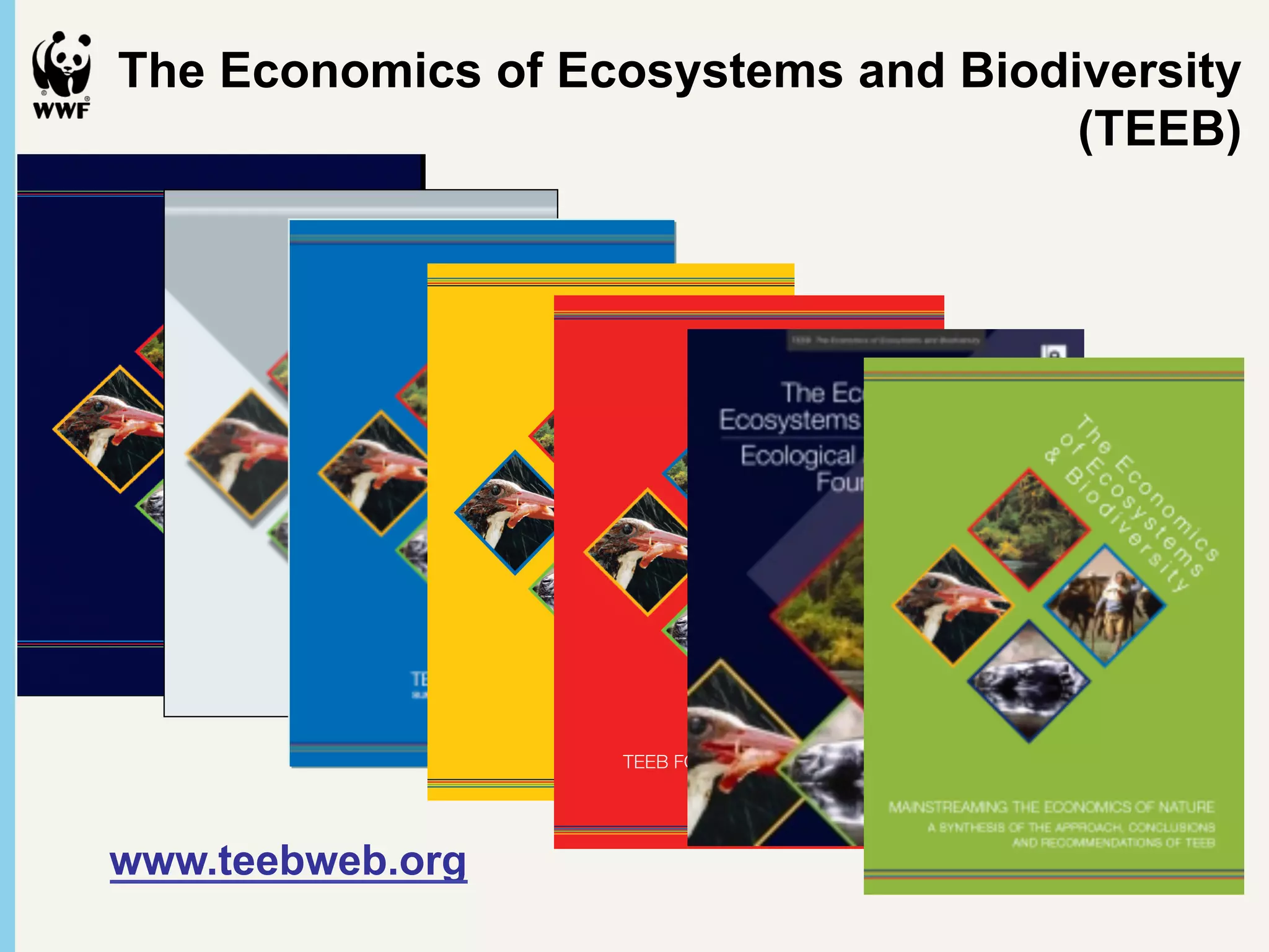 The Economics of Ecosystems and Biodiversity
                                     (TEEB)




www.teebweb.org
 