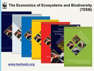 The Economics of Ecosystems and Biodiversity
                                     (TEEB)




www.teebweb.org
 