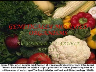 GENETICALLY MODIFIED ORGANISMS BY: JOSHUA H. CABARLE  BSED I-C NAT SCI 