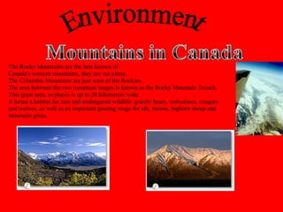 The Rocky Mountains are the best known of Canada's western mountains, they are not alone.  The Columbia Mountains are just west of the Rockies.  The area between the two mountain ranges is known as the Rocky Mountain Trench.  This great area, in places is up to 20 kilometers wide. It forms a habitat for rare and endangered wildlife: grizzly bears, wolverines, cougars  and wolves, as well as an important grazing range for elk, moose, bighorn sheep and  mountain goats. Environment 