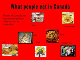 Pigs. Pies Pasta Fish and chips . Fish . Chinese's food . Fruit People in Canada eat very similar food to what we  eat in Australia .   What people eat in Canada 