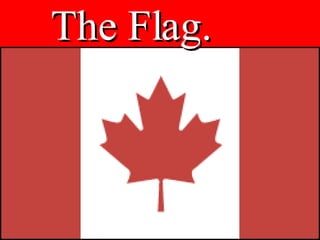 The Flag. 