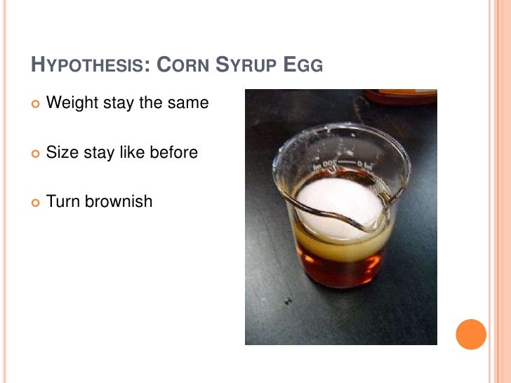JoshuaL egg osmosis experiment
