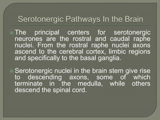 The principal centers for serotonergic
neurones are the rostral and caudal raphe
nuclei. From the rostral raphe nuclei axons
ascend to the cerebral cortex, limbic regions
and specifically to the basal ganglia.
 Serotonergic nuclei in the brain stem give rise
to descending axons, some of which
terminate in the medulla, while others
descend the spinal cord.
 