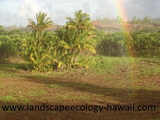 www.landscapeecology-hawaii.com
 