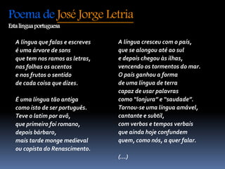 Poema de José Jorge Letria 
Esta língua portuguesa 
A língua cresceu com o país, 
que se alongou até ao sul 
e depois chegou às ilhas, 
vencendo os tormentos do mar. 
O país ganhou a forma 
de uma língua de terra 
capaz de usar palavras 
como “lonjura” e “saudade”. 
Tornou-se uma língua amável, 
cantante e subtil, 
com verbos e tempos verbais 
que ainda hoje confundem 
quem, como nós, a quer falar. 
(…) 
A língua que falas e escreves 
é uma árvore de sons 
que tem nos ramos as letras, 
nas folhas os acentos 
e nos frutos o sentido 
de cada coisa que dizes. 
É uma língua tão antiga 
como isto de ser português. 
Teve o latim por avô, 
que primeiro foi romano, 
depois bárbaro, 
mais tarde monge medieval 
ou copista do Renascimento. 
 