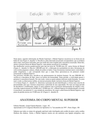 Nesta época, segundo informações do Mundo Espiritual, o Mental Superior encontrava-se na forma de um
botão de rosa (Figura A, desenho 1). Percebe-se, pelas descrições do período correspondente, que os atributos
deste corpo, eram pouco utilizados, pois que ainda não eram exigidos pela consciência encarnada. Deste fato,
advém a primeira forma de Mental Superior, cujas pétalas encontram-se recolhidas.
Seu desabrochar ocorreu gradativamente para que em torno de 750.000 anos AC, outras formas de Mental
(Figura A - desenho 2). Data de 1.000.000 anos AC, a fabricação de machadinhas de mão e ferramentas de
corte (rochas pequenas e planas, afiadas de ambos os lados). Essas ferramentas mostram maior criatividade e
poder imaginativo, o que corresponde dizer que o corpo físico aproximava-se do potencial criador
armazenado no Mental Superior.
Nos próximos 250.000 anos, percebe-se um aprimoramento do intelecto humano. No ano 5000.000 AC,
verifica-se a descoberta do fogo, marco na história da humanidade. Neste período, a criatividade passou a
pertencer à consciência humana. Por esta razão, vemos as quatro pétalas inferiores sendo formadas. As cores
azul e verde, se observarmos melhor, já estavam presentes desde a primeira forma de Mental Superior.
A 3o forma (Figura A - desenho 3) , determina o princípio da auto-identificação e a forma mais concreta da
personalidade, para que o homem conquistasse a plenitude de suas capacidades. Por mais um longo período
de descobertas e modificações, dentre as quais podemos citar as primeiras demonstrações de religião e arte,
ocorridas respectivamente em 60.000 anos e 50.000 anos AC, o Mental Superior foi desabrochando e levando
à consciência, seu potencial. E, essa tomada de consciência, fez surgir a atual forma do Mental Superior, cujo
ponto de partida ocorreu em 35.000 anos AC (Figura A - desenho 4).




         ANATOMIA DO CORPO MENTAL SUPERIOR
Fabiana Donadel - Grupo Espírita Ramatís - Lages - SC
Apresentado no IV Congresso Brasileiro de Apometria 5 a 7 de setembro de 1997 - Porto Alegre - RS

Sabemos que todos os corpos do agregado espiritual estão interligados pelo cordão de prata e pelos cordões
fluídicos dos chakras. Assim, o Mental Superior mostra em sua anatomia essa ligação energética, com
 