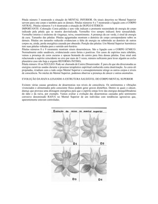 Pétala número 3 mostrando a situação do MENTAL INFERIOR. Os sinais descritos no Mental Superior
servem para este corpo e também para os demais. Pétalas números 4 e 7 mostrando a ligação com o CORPO
ASTRAL. Pétalas números 5 e 6 mostrando a situação do DUPLO ETÉRICO.
IMPORTANTE: Coloração: Cores pálidas e sem vida indicam a premente necessidade de energia do corpo
indicado pela pétala que se mostra desvitalizada. Vermelho vivo sempre indicará forte sensualidade.
Vermelho intenso é sinônimo de vingança, raiva, ressentimento. A presença da cor verde, é sinal de energia
de cura. Tamanho das pétalas: Pétalas agigantadas mostram o domínio do corpo correspondente sobre os
demais. Pétalas em tamanho reduzido evidenciam a falta de energia ou submissão ao domínio de outros
corpos ou, ainda, perda energética causada por obsessão. Posição das pétalas: Um Mental Superior harmônico
tem suas pétalas voltadas para o sentido anti-horário.
Pétalas números 8 e 9 raramente mostram sinais desarmônicos. São a ligação com o CORPO ÁTMICO.
Normalmente estão saudáveis, evidenciando cores fortes e positivas. Em casos de espíritos mais rebeldes,
vemos a presença de cores escuras e opacas brotando do centro para fora dessas pétalas. Esse sinal está
relacionado a espírito reincidente no erro por mais de 3 vezes, número suficiente para levar alguém ao exílio
planetário caso não haja a urgente REFORMA ÍNTIMA.
Pétala número 10 ou NÚCLEO: Pode ser chamada de Centro Dinamizador. É para ele que são direcionadas as
energias curativas usadas durante o processo terapêutico espiritual conhecido como doutrinação. As cores ali
projetadas, irradiam cura a todo corpo Mental Superior e conseqüentemente atinge os outros corpos e níveis
de consciência. No núcleo do Mental Superior, podemos observar a presença de câncer e outras anomalias.

EVOLUÇÃO DA RAIVA LESANDO A ESTRUTURA SAUDÁVEL DO CORPO MENTAL SUPERIOR

Existem várias causas geradoras de desarmonias nos níveis de consciência. Os sentimentos e vibrações
vivenciados e alimentados pelo consciente físico podem gerar graves distúrbios. Dentre os quais o câncer,
doença que provoca uma drenagem energética para que o espírito esteja livre das energias desequilibradoras
do ódio e da raiva, por exemplo. Vamos avaliar a evolução das desarmonias causadas pelo sentimento
corrosivo denominado RAIVA no Mental Superior de um indivíduo com tendências agressivas que,
aparentemente estavam controladas.
 