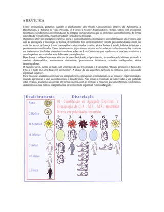 A TERAPÊUTICA

Como terapêutica, podemos sugerir o alinhamento dos Níveis Conscienciais através da Apometria, a
Desobsessão, a Terapia de Vida Passada, os Florais e Micro Organizadores Florais, todos com excelentes
resultados e ainda temos recomendação de integrar várias terapias que se utilizadas conjuntamente, de forma
equilibrada e inteligente, podem produzir verdadeiros milagres.
Queremos abrir um parágrafo especial para o aconselhamento,orientação e conscientização da criatura, que
sem as avaliações e mudanças de rumos, dificilmente fica definitivamente curada, pois como todos sabem, no
mais das vezes, a doença é uma conseqüência das atitudes erradas, vícios lesivos à saúde, hábitos inferiores e
pensamentos tumultuados. Essas desarmonias, cujas causas devem ser levadas ao conhecimento das criaturas
em tratamento, inclusive conscientizando-as sobre as Leis Cósmicas que conduzem o processo evolutivo e
quenão podem ser violadas sem dolorosas conseqüências.
Deve haver o esforço honesto e sincero de contribuição do próprio doente, na mudança de hábitos, evitando a
conduta desarmônica, sentimentos distorcidos, pensamentos inferiores, atitudes inadequadas, vícios
desagregadores.
O paciente deve, acima de tudo, ser lembrado do que recomenda o Evangelho, "Buscai primeiro o Reino dos
Céus e o resto lhe será dado por acréscimo". A chave de seu equilíbrio repouza na sintonia com a realidade
espiritual superior.
Para finalizar, queremos convidar os companheiros a pesquisar, estimulando-os ao estudo e experimentação,
visando aprimorar o que já conhecemos e descobrimos. Não tendo a pretensão de saber tudo, e até podendo
estar errados, queremos colaborar de forma sincera, com as técnicas e recursos que descobrimos e utilizamos,
oferecendo-as aos demais companheiros de caminhada espiritual. Muito obrigado.
 