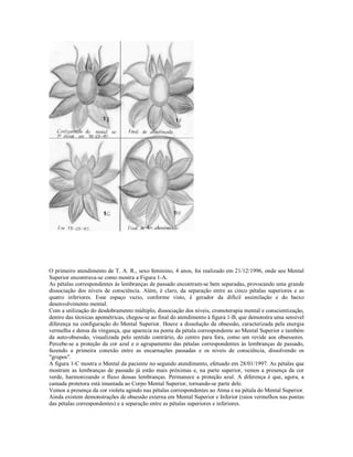 O primeiro atendimento de T. A. R., sexo feminino, 4 anos, foi realizado em 21/12/1996, onde seu Mental
Superior encontrava-se como mostra a Figura 1-A.
As pétalas correspondentes às lembranças de passado encontram-se bem separadas, provocando uma grande
dissociação dos níveis de consciência. Além, é claro, da separação entre as cinco pétalas superiores e as
quatro inferiores. Esse espaço vazio, conforme visto, é gerador da difícil assimilação e do baixo
desenvolvimento mental.
Com a utilização do desdobramento múltiplo, dissociação dos níveis, cromoterapia mental e conscientização,
dentro das técnicas apométricas, chegou-se ao final do atendimento à figura 1-B, que demonstra uma sensível
diferença na configuração do Mental Superior. Houve a dissolução da obsessão, caracterizada pela energia
vermelha e densa da vingança, que aparecia na ponta da pétala correspondente ao Mental Superior e também
da auto-obsessão, visualizada pelo sentido contrário, do centro para fora, como um revide aos obsessores.
Percebe-se a proteção da cor azul e o agrupamento das pétalas correspondentes às lembranças de passado,
fazendo a primeira conexão entre as encarnações passadas e os niveis de consciência, dissolvendo os
"grupos".
A figura 1-C mostra o Mental da paciente no segundo atendimento, efetuado em 28/01/1997. As pétalas que
mostram as lembranças de passado já estão mais próximas e, na parte superior, vemos a presença da cor
verde, harmonizando o fluxo dessas lembranças. Permanece a proteção azul. A diferença é que, agora, a
camada protetora está imantada ao Corpo Mental Superior, tornando-se parte dele.
Vemos a presença da cor violeta agindo nas pétalas correspondentes ao Atma e na pétala do Mental Superior.
Ainda existem demonstrações de obsessão externa em Mental Superior e Inferior (raios vermelhos nas pontas
das pétalas correspondentes) e a separação entre as pétalas superiores e inferiores.
 
