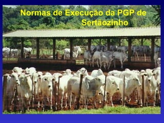 Normas de Execução da PGP de  Sertãozinho  