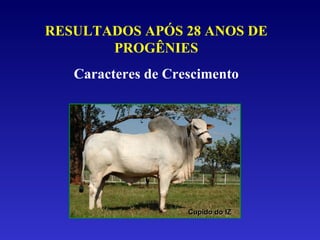 RESULTADOS APÓS 28 ANOS DE PROGÊNIES Caracteres de Crescimento Cupido do IZ 