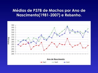 Médias de P378 de Machos por Ano de Nascimento(1981-2007) e R ebanho. 