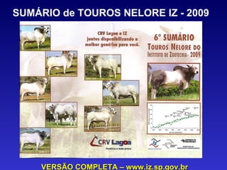 SUMÁRIO de TOUROS NELORE IZ - 2009  VERSÃO COMPLETA – www.iz.sp.gov.br 