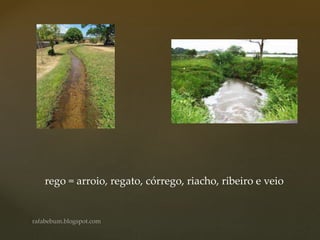 rego = arroio, regato, córrego, riacho, ribeiro e veio
 