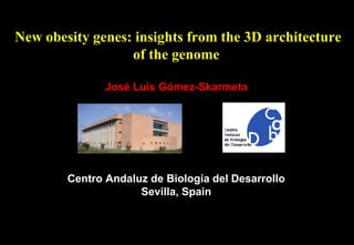 New obesity genes: insights from the 3D architecture
of the genome
José Luis Gómez-Skarmeta
Centro Andaluz de Biología del Desarrollo
Sevilla, Spain
 