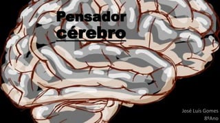 Pensador
cérebro
José Luís Gomes
8ºAno
 