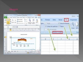 pestaña de vista y revisar 