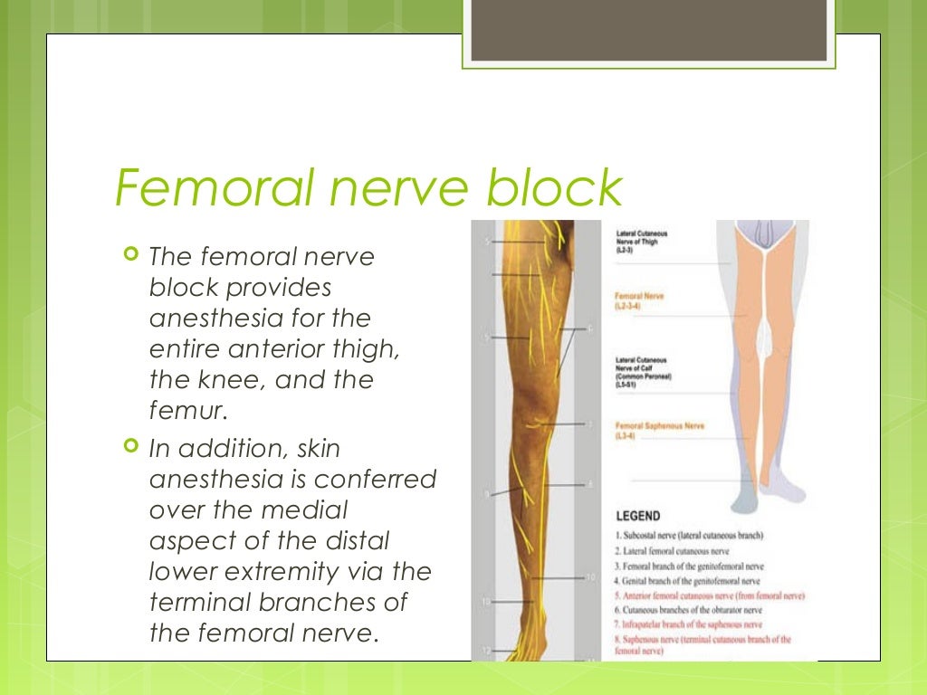 Ultrasound Guided Peripheral Nerve Blocks