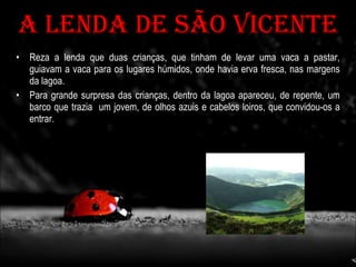 José rúben, bea e andreia 7º6