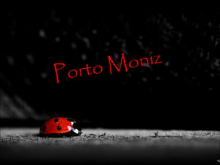 José rúben, bea e andreia 7º6