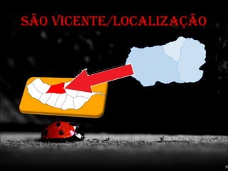 José rúben, bea e andreia 7º6